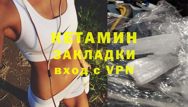 сатива Великий Новгород