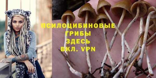 скорость Ладушкин