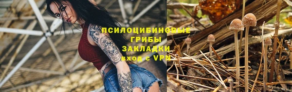 скорость Ладушкин