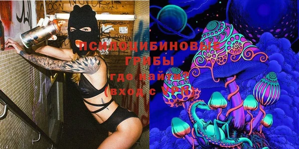 скорость Ладушкин