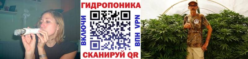 Шишки марихуана MAZAR  купить наркотики цена  Подпорожье 